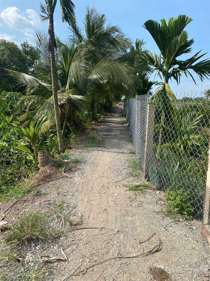 Bán 1480 m2 đất full thổ cư xã hòa khánh tây, đức hòa long an