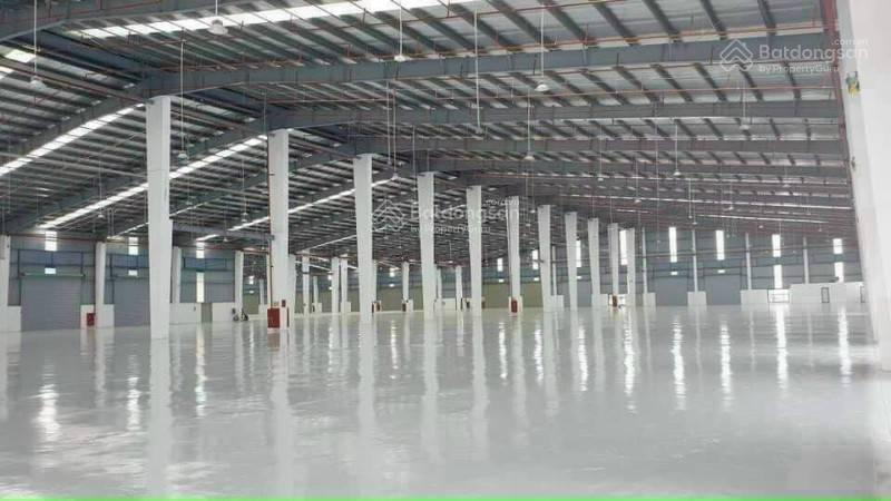 Kho riêng(tự quản), kho chung có thủ kho qlý (dv fulfillment)có pccc, cont vao 24/24 giá 60,000đ/m2