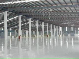 Cho thuê kho diện tích từ 50m2 đến 50,000m2. có pccc, container ra vao 24/24. dịch vụ fulfillment