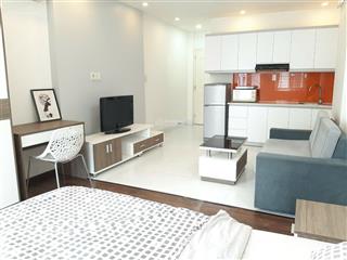 Studio phường tân định, quận 1, giá 9,5 triệu/tháng