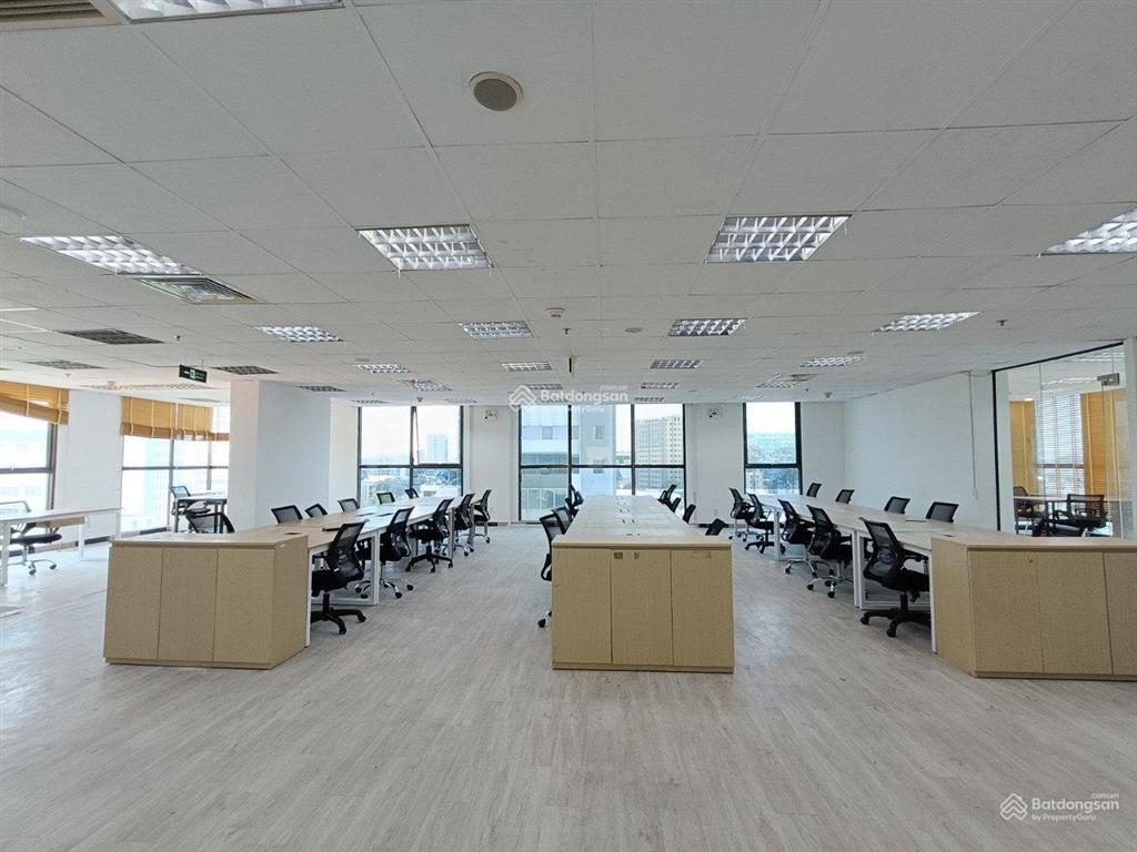 Cho thuê văn phòng galleria đường nam kỳ khởi nghĩa, phường xuân hòa