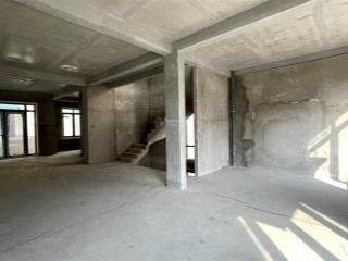 Cho thuê nhà riêng 4pn, 5wc, 546m2 tại vinhomes golden river ba son, q1, hcm, 145 triệu