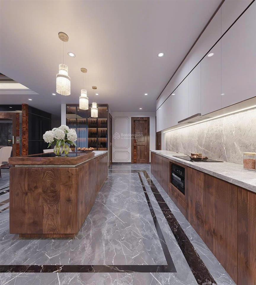 Cho thuê căn hộ 2pn + 1wc tại t  place, lý thường kiệt, hoàn kiếm, 30 triệu, 75m2