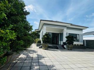 Biệt thự sân vườn ngay biển phước hải

dt 836m2 ngang 14x60m 150m thổ cư.