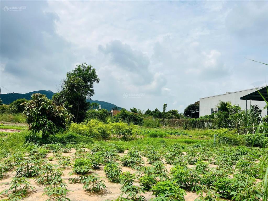 Duy nhất lô 522m2 ngang 15m, thị trấn phước hải  brvt diện tích 522m2 (15x35m) thổ cư 120m2