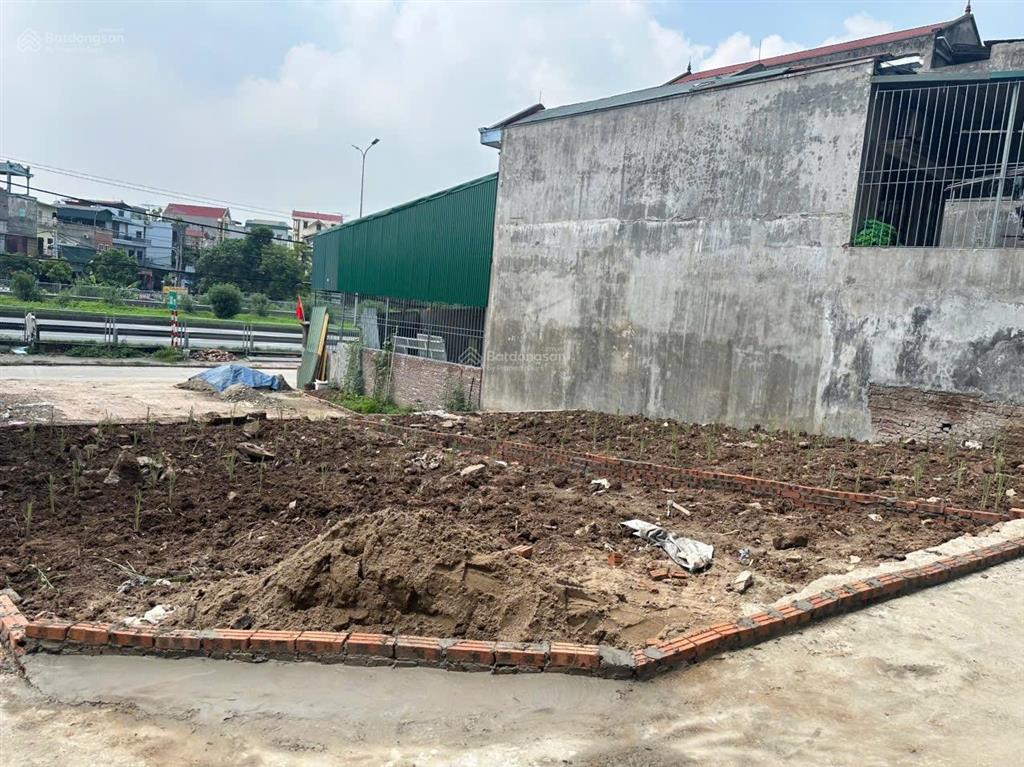 Bán đất lô góc 74m2 tại bất lự, hoàn sơn, tiên du, bắc ninh, 26,5 triệu/m2