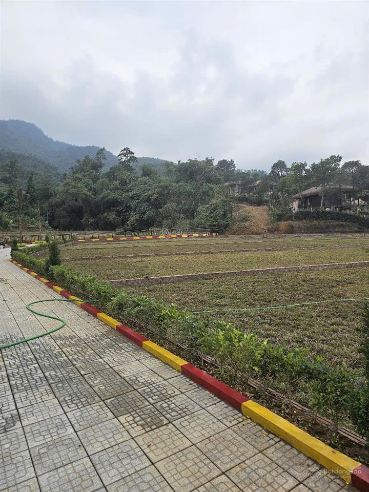 Bán đất đẹp nghỉ dưỡng view suối núi đồi đường đồng vỡ, phú mãn giá rẻ 468m2, nhỉnh 6 tỷ