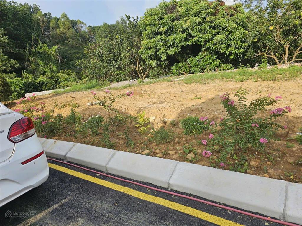 Siêu phẩm lô góc nhà vườn ôtô chạy vòng quanh sát xanh villas 354.6m2 nhỉnh 13tr