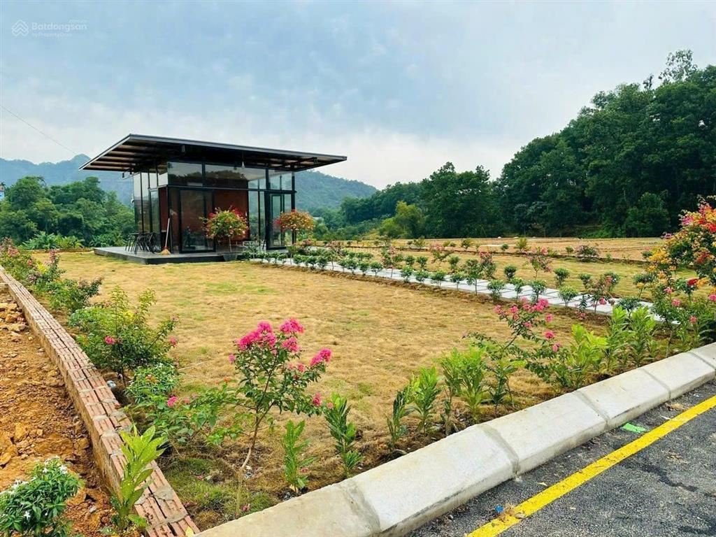 Siêu phẩm lô góc nhà vườn ôtô chạy vòng quanh sát xanh villas 354.6m2 nhỉnh 13tr