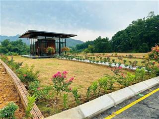 Siêu phẩm lôgóc nhà vườn ôtô chạy vòng quanh sát xanh villas 354.6m2 nhỉnh 13tr