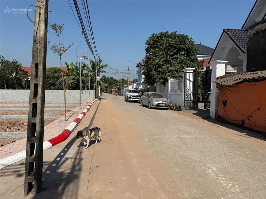 Cần bán lô đất đẹp hộ khẩu hà nội 100m2 thổ cư đường thông 2 ô tô, giá rẻ 981tr