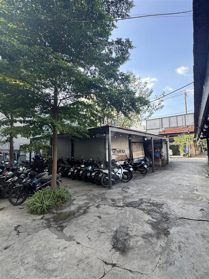 Bán biệt thự tâm huyết dương quảng hàm, p6, gò vấp. dt nở hậu 915m2, giá 96 tỷ