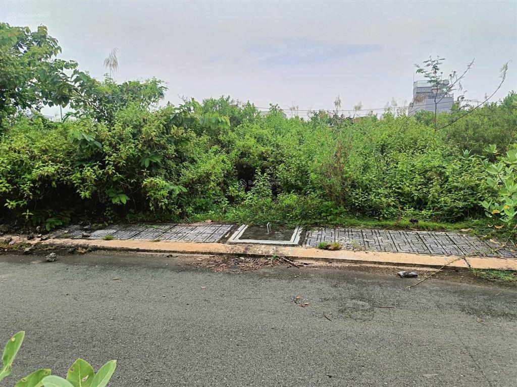 Bán gấp đất 56m2 (6,2x9) full thổ cư, xd tự do, da blue diamond riverside, p long phước, q9 cũ, hcm