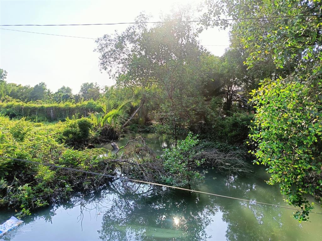 Bán 2.142m2 có 200 thổ cư, giáp rạch mát mẻ mt đường số 1, p long phước, q9, cách vinhomes 800m