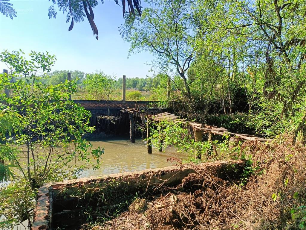 Bán 2.142m2 có 200 thổ cư, giáp rạch mát mẻ mt đường số 1, p long phước, q9, cách vinhomes 800m