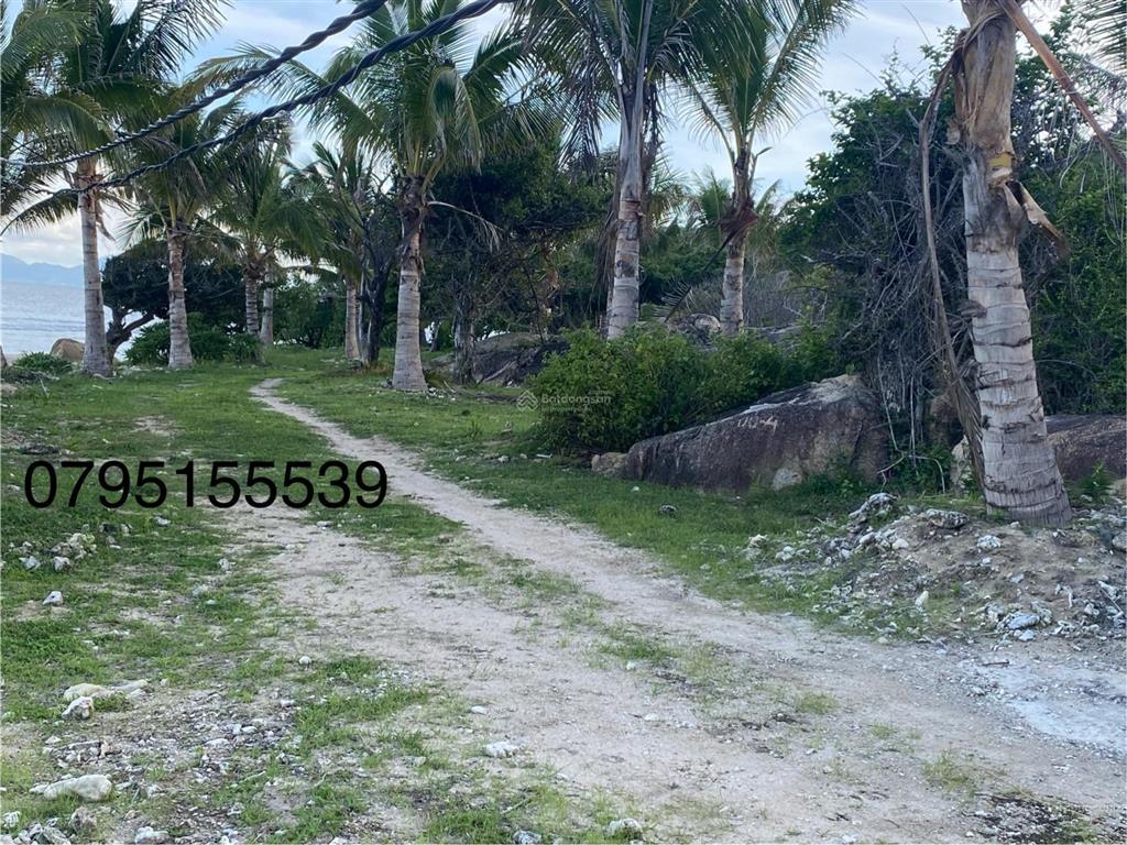 Đất mặt biển ninh vân giá rẻ cần bán