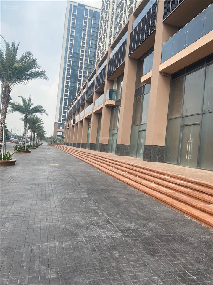 Hot! bán giỏ hàng sh eco green quận 7 chỉ từ 80tr/m2 thanh toán giãn 6 tháng hiệu suất 50tr/tháng.