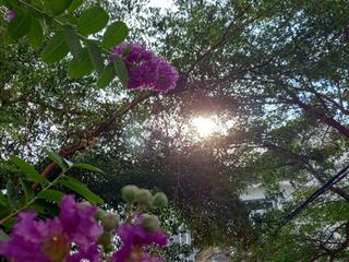 Bán nhà đẹp 4,5mx15m 3 tầng  khu vực đường 79 tân quy q7  11 tỷ