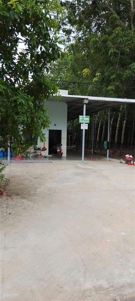 Bán đất minh thạnh, dầu tiếng 242.5m² đường xe hơi giá đầu tư cực mềm