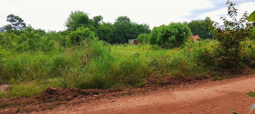 Bán đất minh thạnh, dầu tiếng 242.5m² đường xe hơi giá đầu tư cực mềm