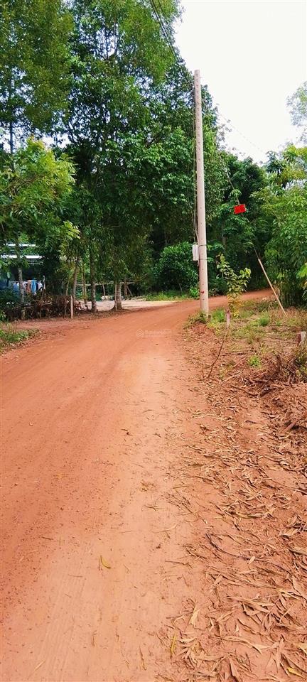 Bán đất minh thạnh, dầu tiếng 242.5m² đường xe hơi giá đầu tư cực mềm