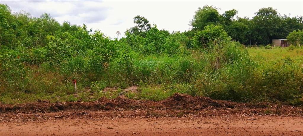 Bán đất minh thạnh, dầu tiếng 242.5m² đường xe hơi giá đầu tư cực mềm