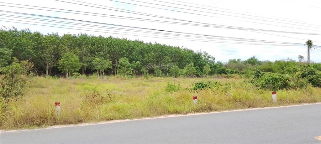 Giá rẻ bất ngờ cho lô đất đẹp mặt tiền dt 749b minh hòa, dầu tiếng, bình dương
