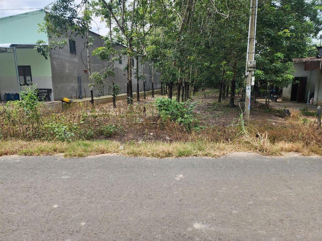 Bán đất mặt tiền đường 20m, gần trung tâm hành chính minh thạnh, tp. hcm