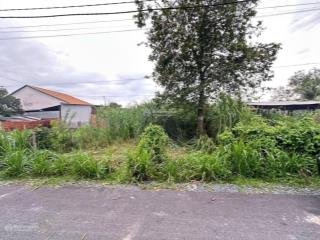 Cần bán gấp lô đất đường nguyễn thị rành, dt 120m2 thổ cư, shr, cạnh bv củ chi mới, giá 980tr tl