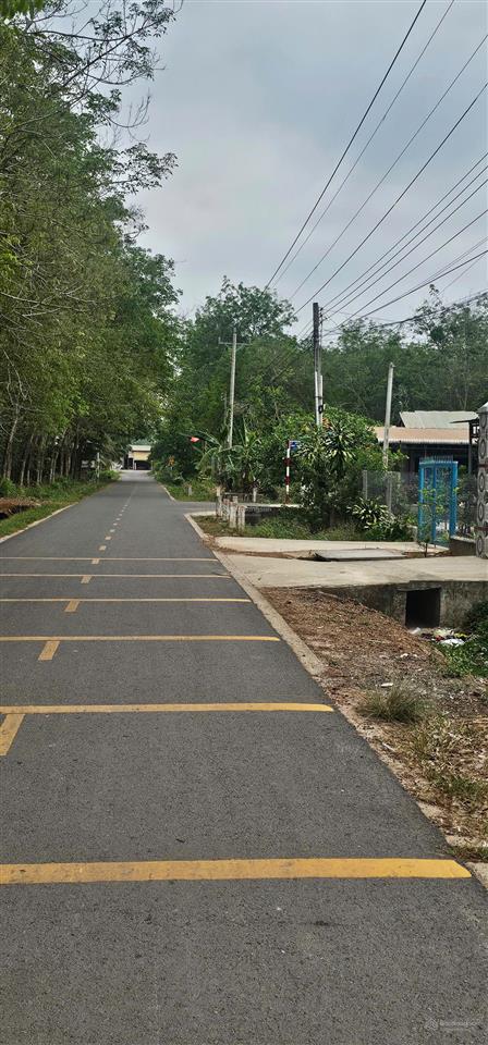 585 triệu sở hữu ngay lô đất 457m2 tại đt749b, minh thạnh  dầu tiếng, bình dương