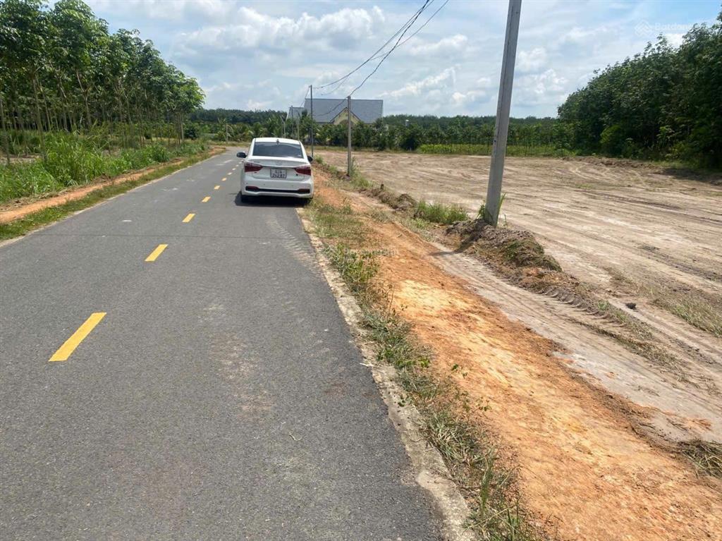 495 triệu sở hữu ngay lô đất 10m ngang mặt tiền đường nhựa minh thạnh 26  lò rèn minh thạnh  hcm