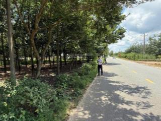 Chính chủ bán lô đất 10m ngang mặt tiền đường nhựa dt749b  minh thạnh  hồ chí minh