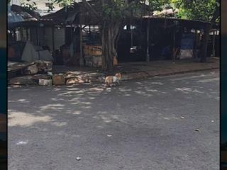 Bà chị đang ở nước ngoài cần bán nhanh để gom tiền làm ăn. có giá tốt cho khách thiện chí