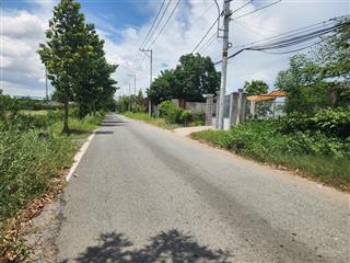 Bán đất măt tiền đường tân liêm, phong phú, bình chánh, hồ chí minh
