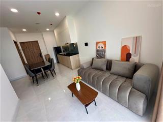 Cho thuê căn 1pn 46m2 full nội thất giá 6.5 triệu chung cư the maison ( xem nhà 24/07 )