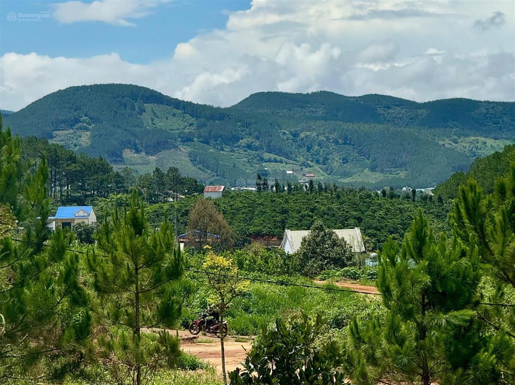 Lô đất 133m2 ven đà lạt giá chỉ 390tr, cơ hội đầu tư sinh lời cao!