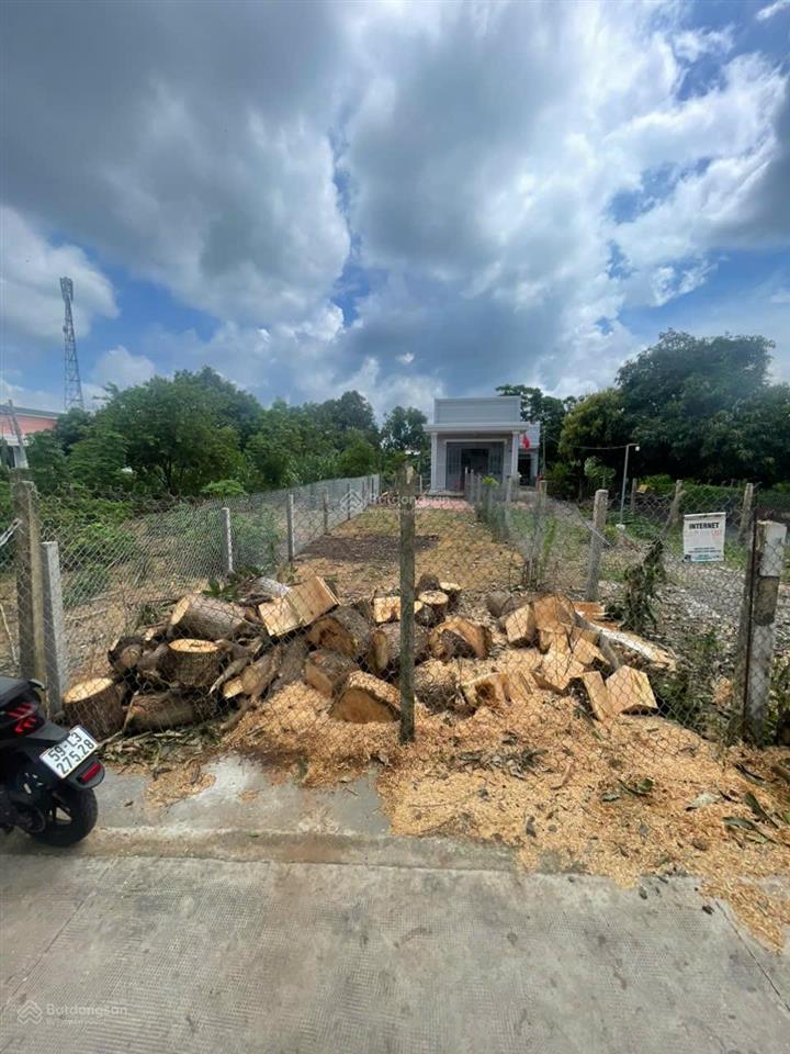 Bán gấp đất tại cần thạnh, cần giờ, hcm giá 3,5 tỷ, 117m2