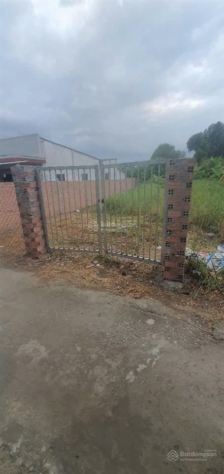 Bán đất đào cử, cần thạnh, cần giờ, 12 tỷ, 312 m2 giá siêu hời