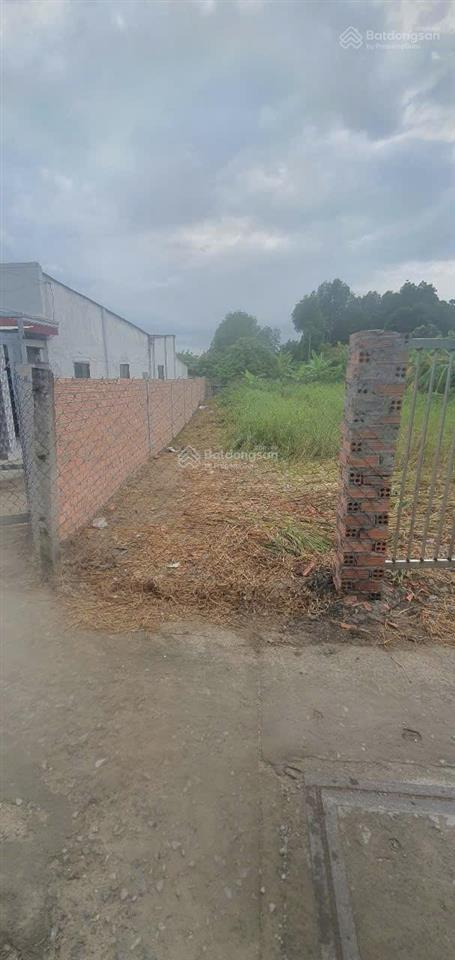 Bán đất đào cử, cần thạnh, cần giờ, 12 tỷ, 312 m2 giá siêu hời