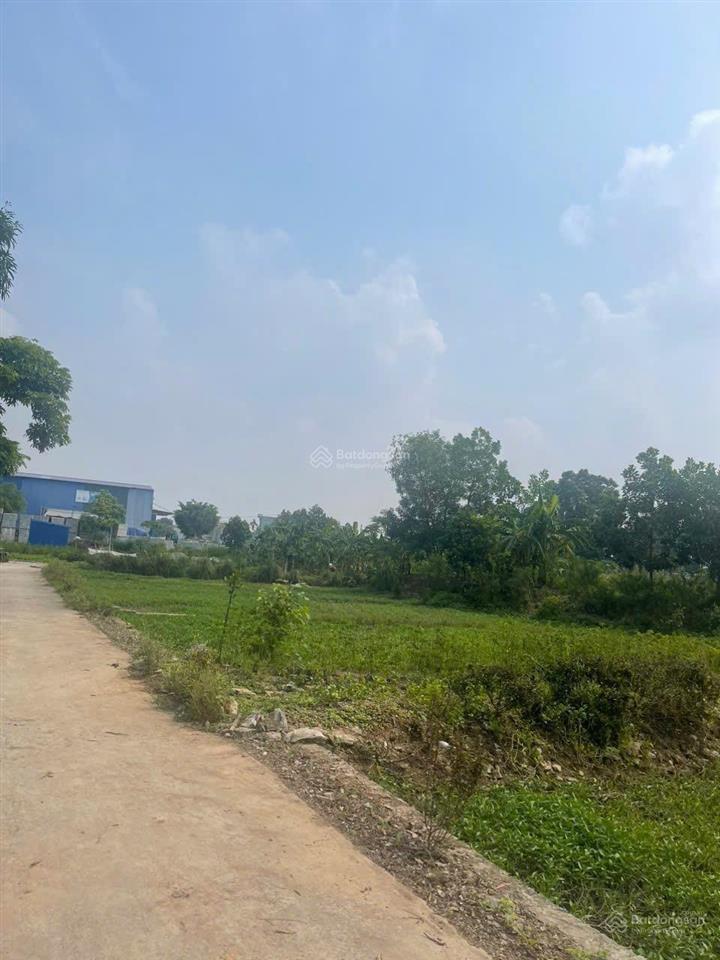 Đất đẹp  thổ cư  phân lô  sinh lời cao tại hợp thanh  mỹ đức  hà nội