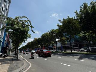 Đất vàng 648m² hoàng văn thụ, tân bình giá giảm còn 131tr/m². chỉ 85 tỷ tl