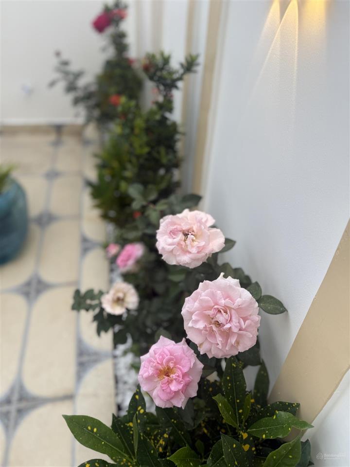 Căn góc 2 mt nhà mới 5 x20m sát kcn cầu tràm đã hoàn công