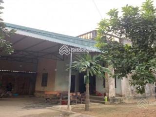 Cho thuê đất sẵn nhà 3 gian có thể làm xưởng, kho bãi, trồng trọt, chăn nuôi