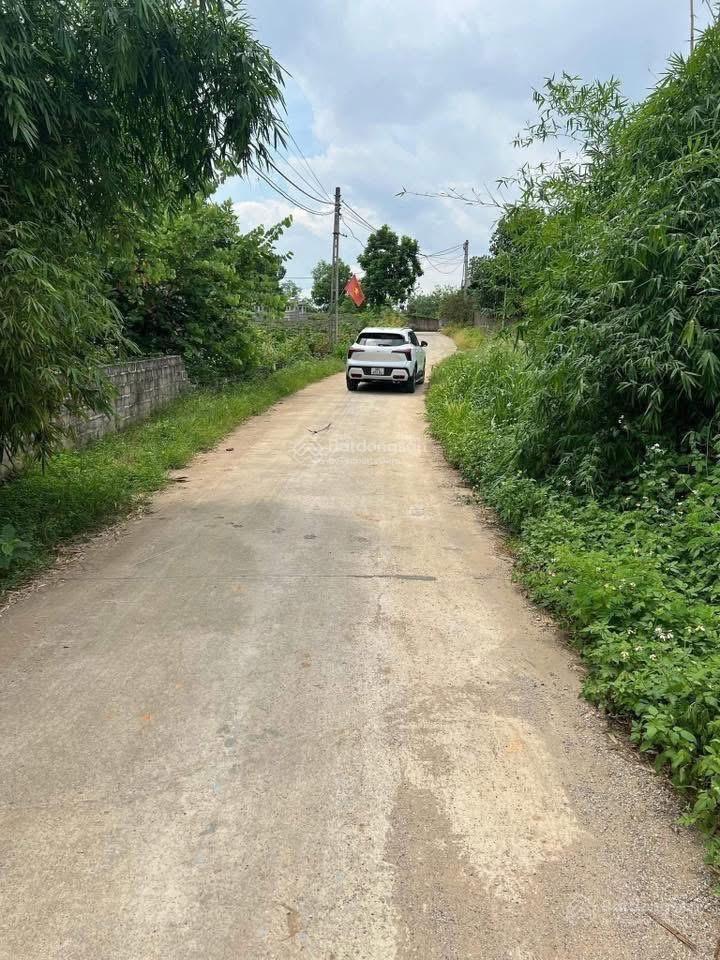  cần nhượng lại siêm phẩm lô 3 mặt tiền ở thôn 5 ba trại dt 1515m có 500m thổ cư.