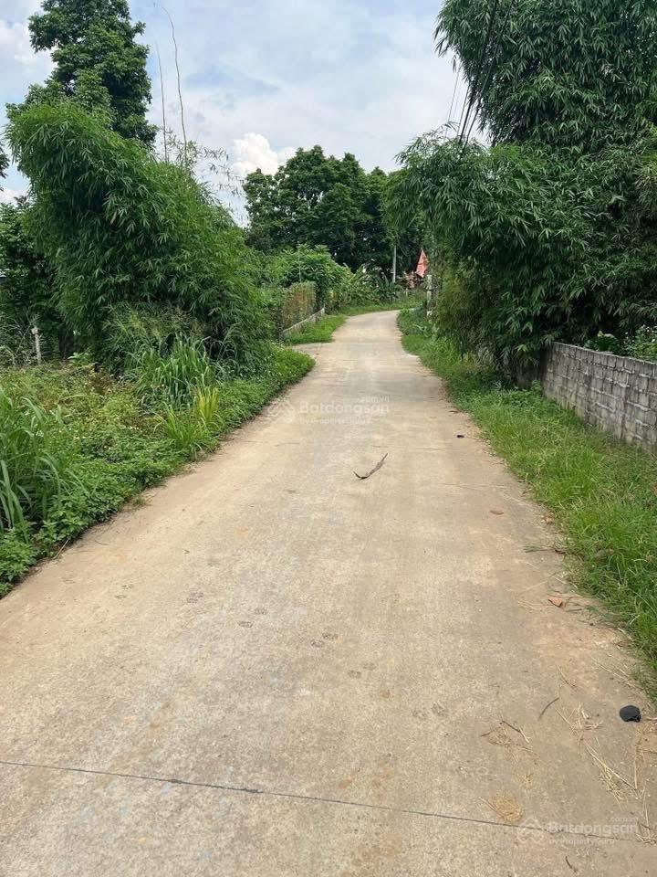  cần nhượng lại siêm phẩm lô 3 mặt tiền ở thôn 5 ba trại dt 1515m có 500m thổ cư.