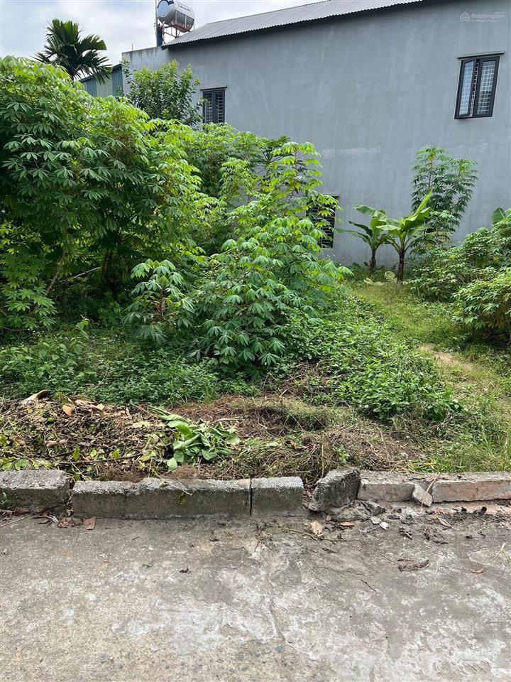  chính chủ gửi bán lô đất ở tùng thiện xuân khanh dt 100mxmt6,7m. ô tô tránh nhau.