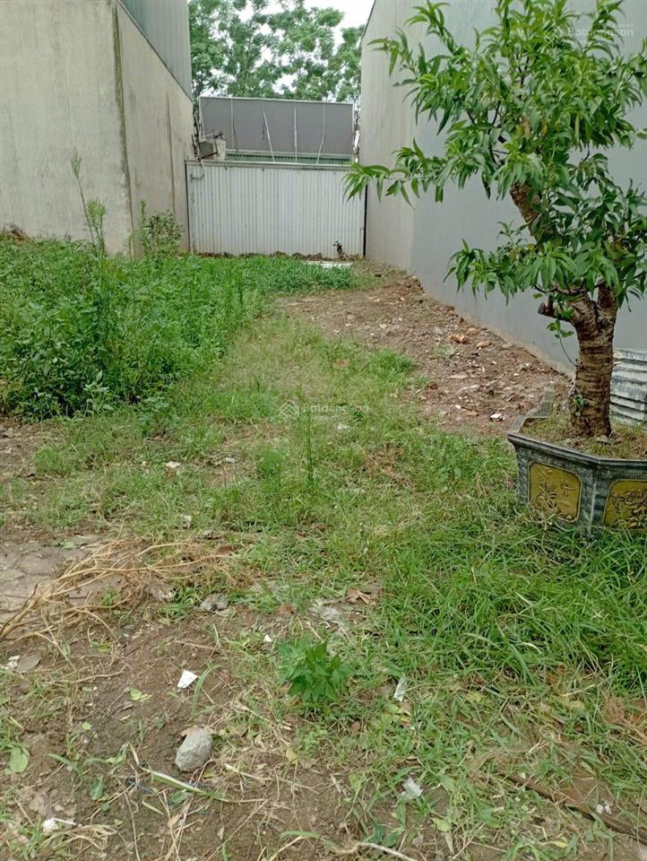 Bán đất đẹp phân lô, gần mặt đường lớn, 72m2, quang trung, ô tô, hà đông, 8,19 tỷ