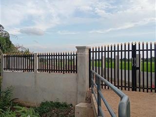 Cần bán đất 1550m2  10 tỷ đường trương văn đa, bình chánh