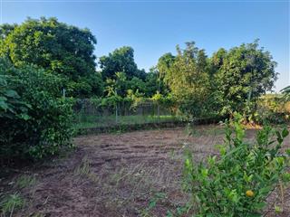 Chính chủ bán gấp 1233m2 đất khai khoang ngõ 264 âu cơ  phường hồng hà  hà nội(có chia nhỏ) 6.5tr