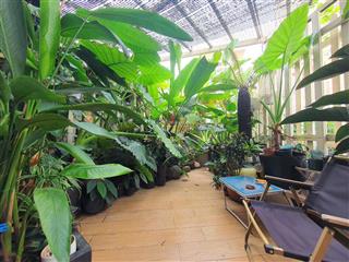 Bán cc an khang p. ap q. 2 (106m2, 3pn+1 giá 6,8tỷ) duy nhất căn có sân vườn rộng 25m ,nhà mới đẹp